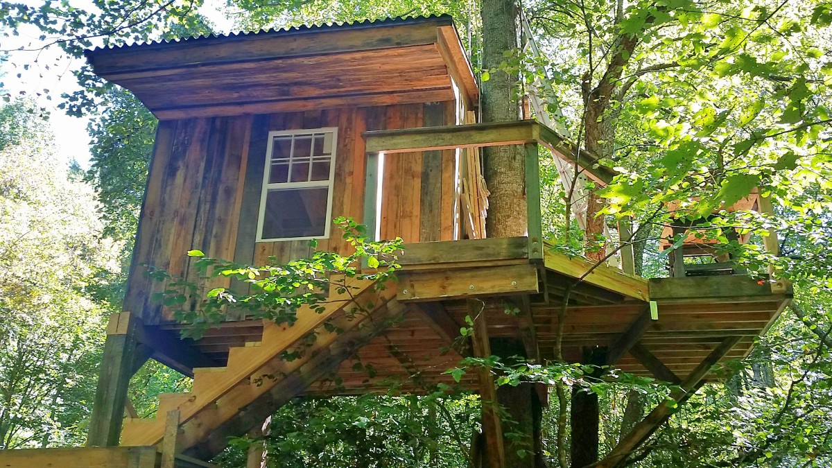 Treehouse – Mountain Harbour
