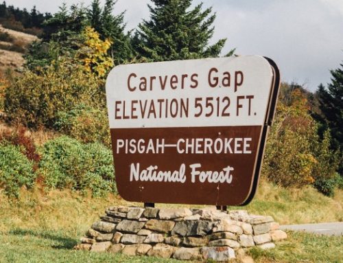 Carvers Gap, Shuttle Service